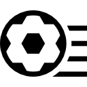 崔蕾津
